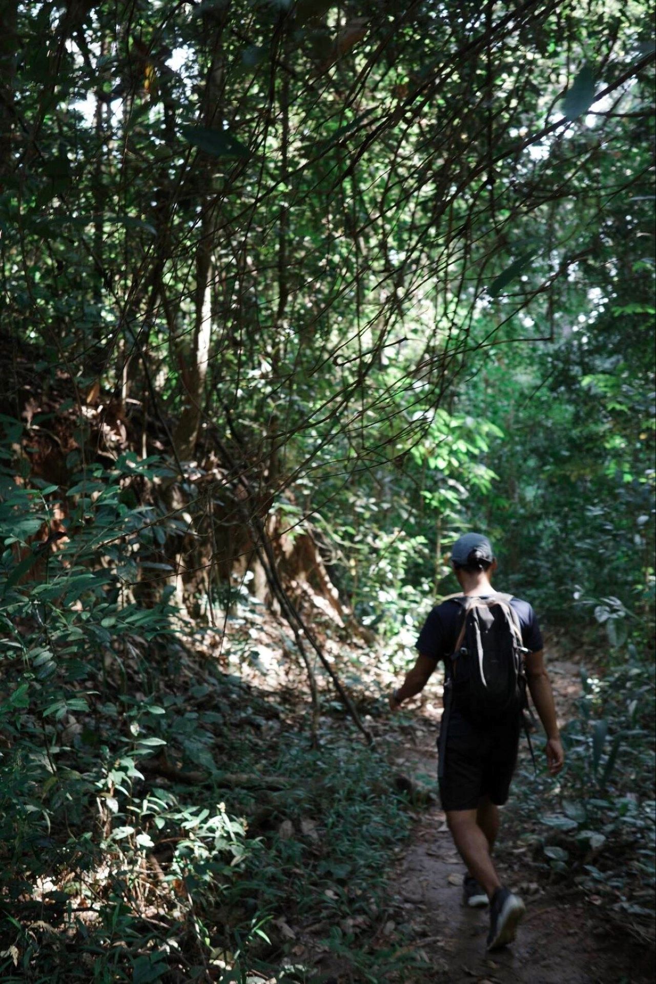 素帖山普伊國家公園探險健行