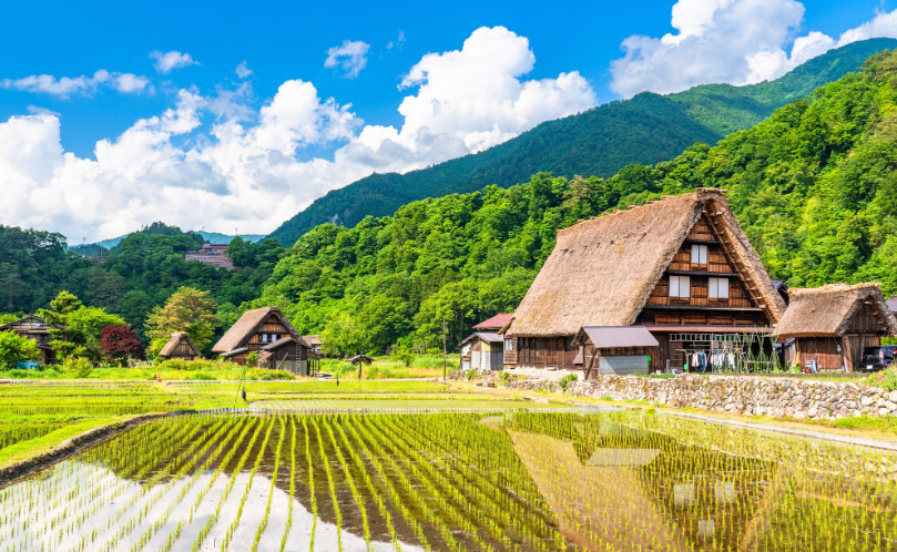 白川鄉 & 高山 & 立山雪壁 2日遊（大阪/名古屋出發）