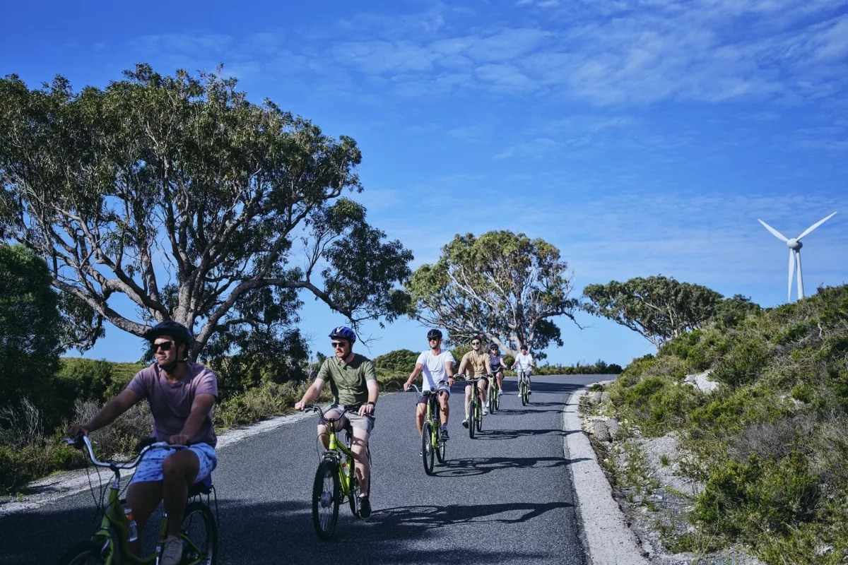 Same Day Return Ferry with SeaLink Adult Bike Hire