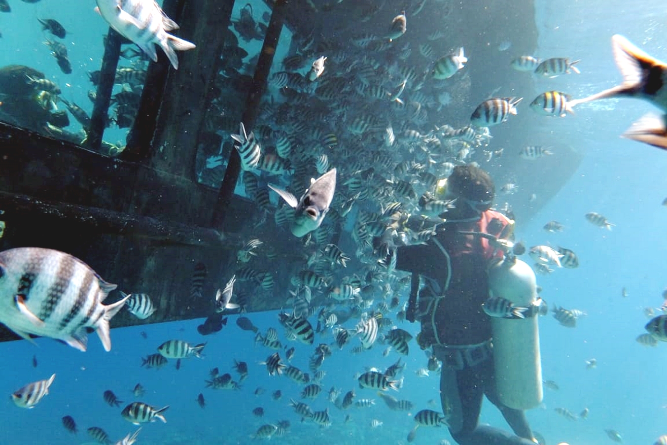 紅海：浮潛半潛艇遊船之旅