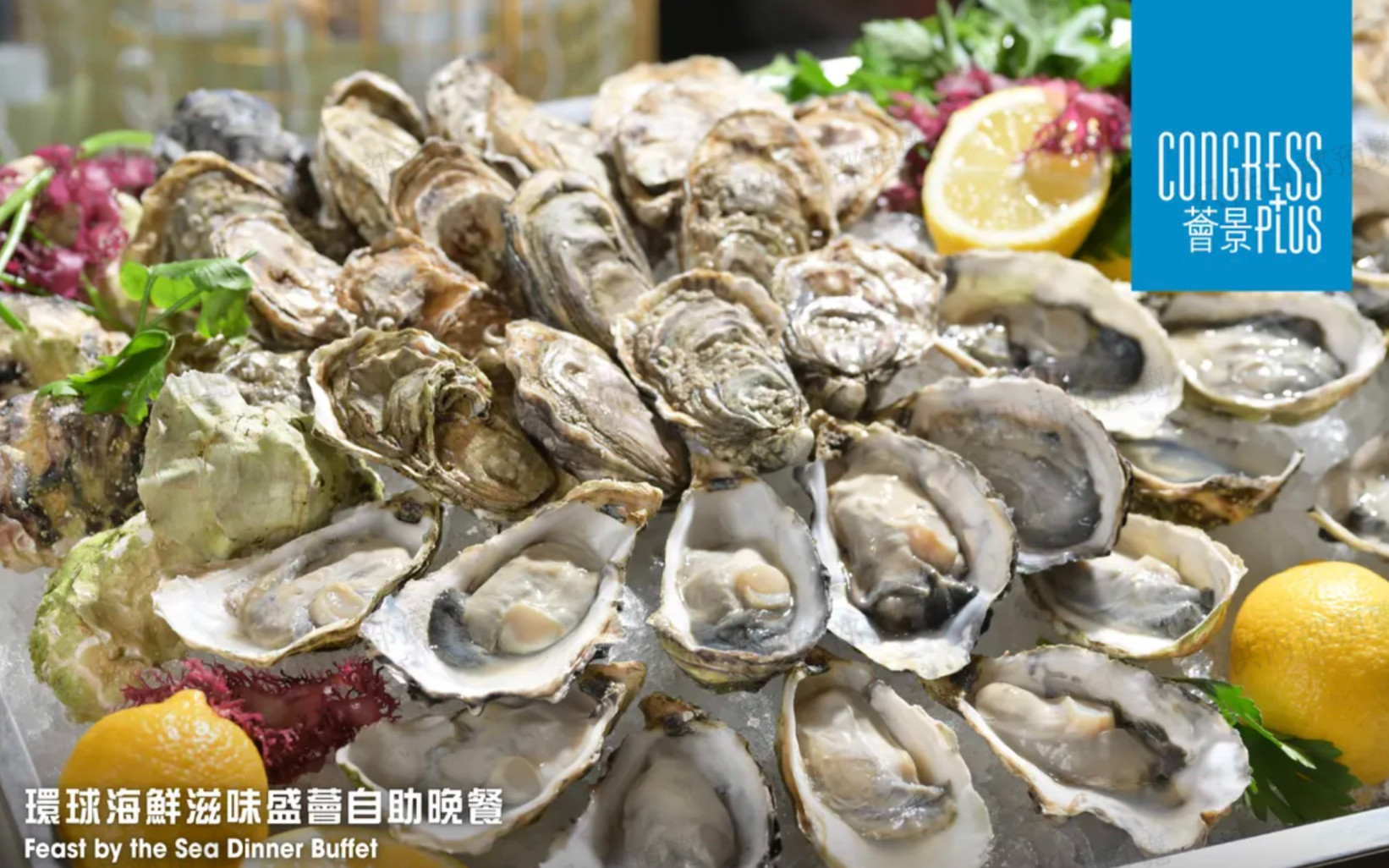 Congress Plus | Lunch Buffet, Semi-buffet Lunch, Brunch Buffet, Dinner Buffet | Hong Kong Convention & Exhibition Centre | Hotel Buffet 2026