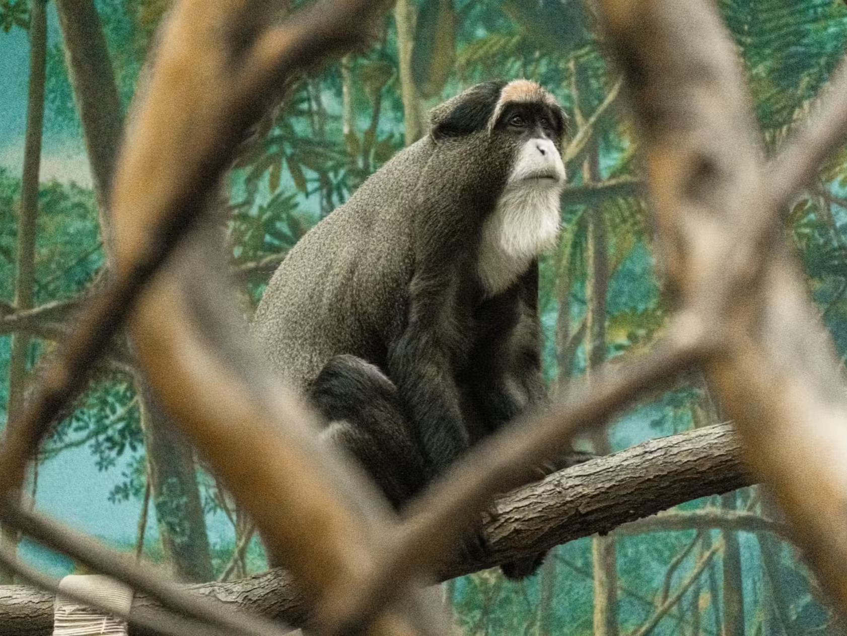 富蘭克林公園動物園帶來難忘的探險體驗，是追求歡樂、教育意義及近距離接觸動物的家庭的絕佳選擇！