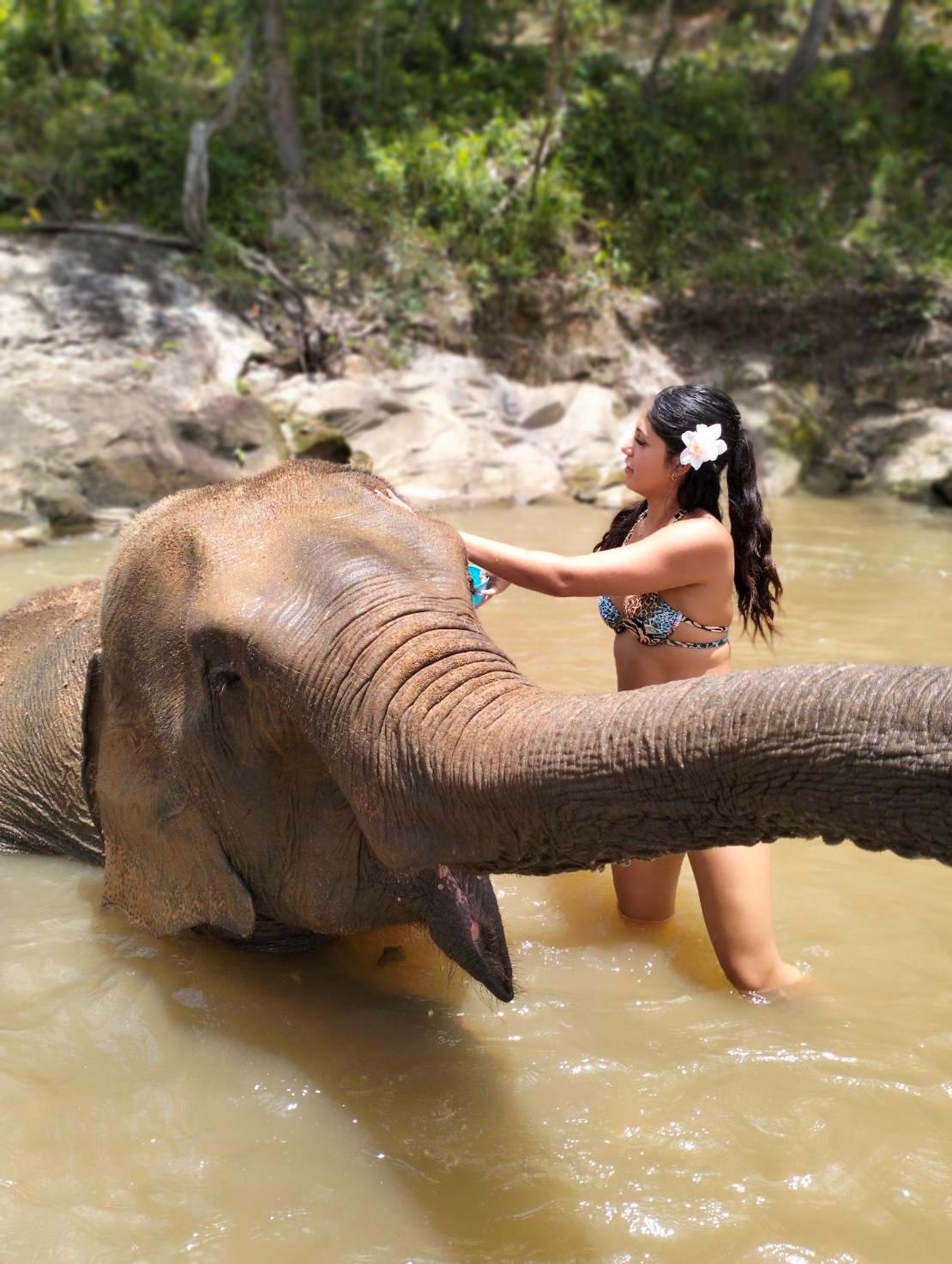 PON ELEPHANT THAILAND & Mae Wang waterfall野生動物 & 自然一日遊