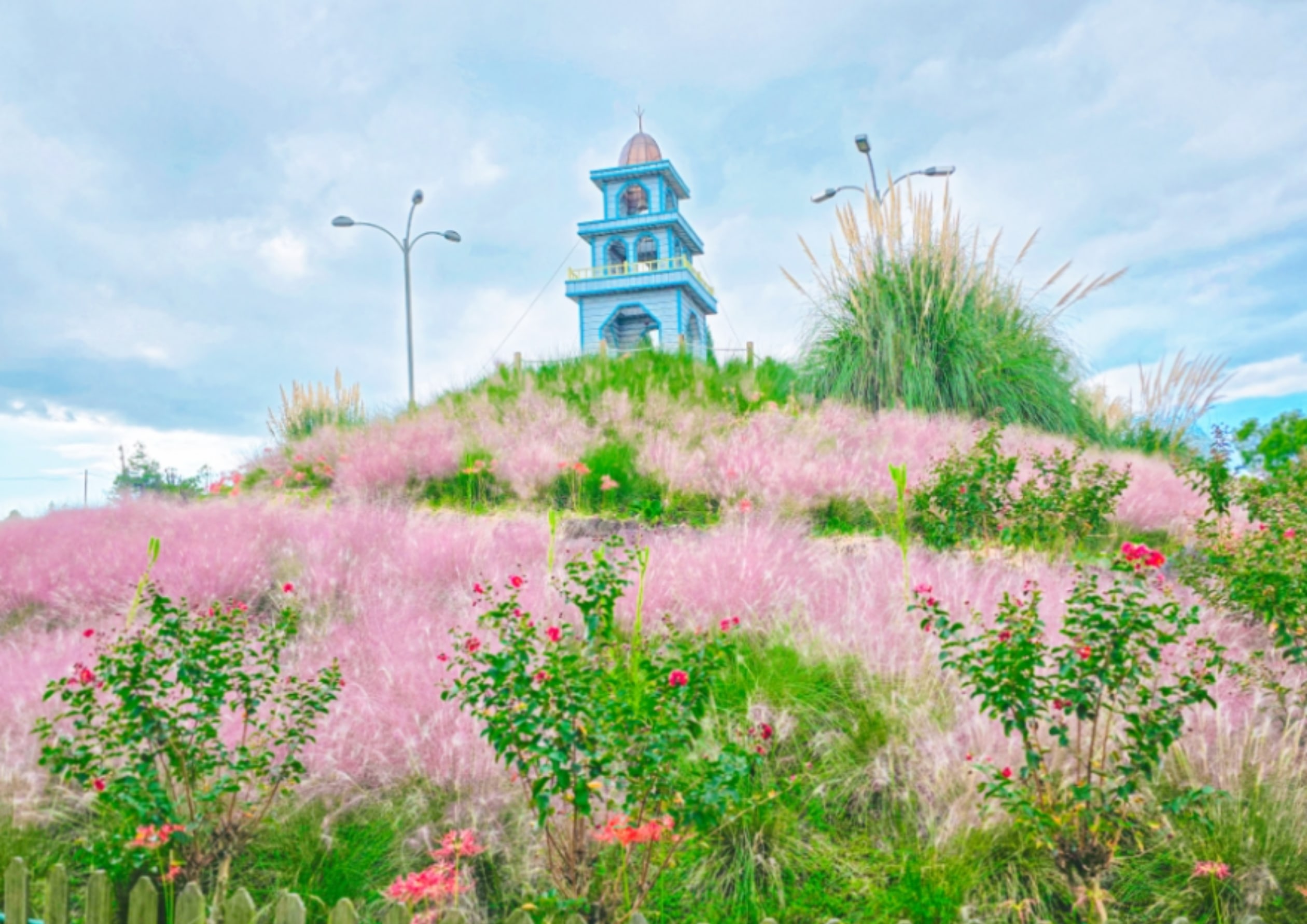 香草花園：四季花卉 (秋季)