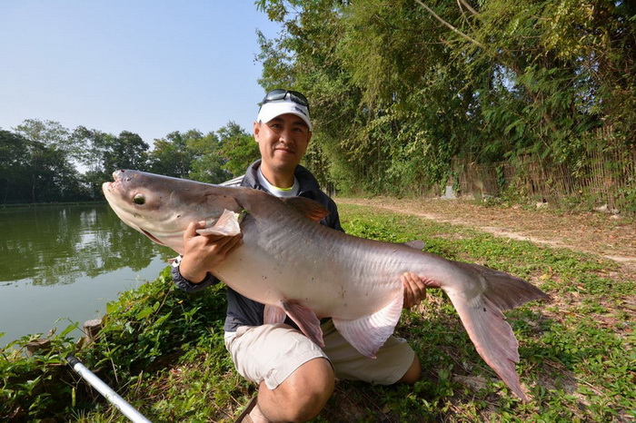 清邁大魚垂釣體驗