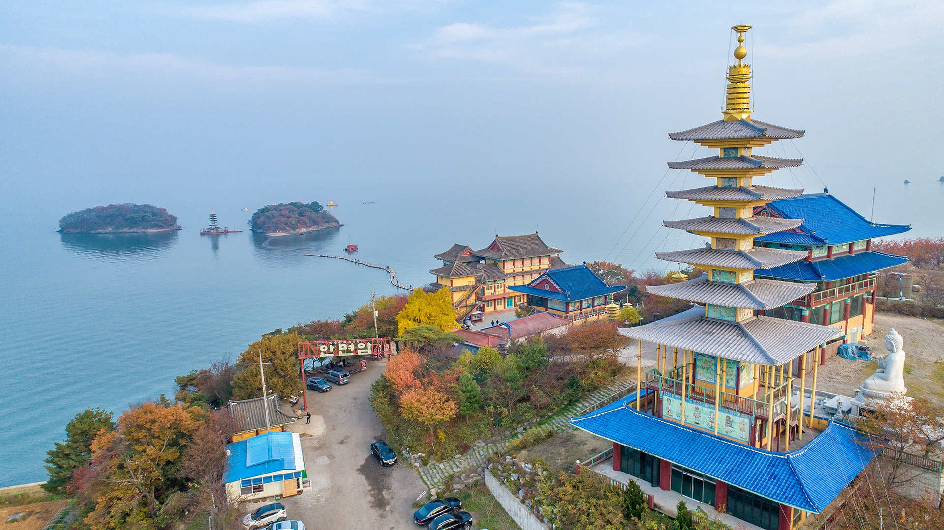 陽光透過花朵灑落在石階上，引人靜靜欣賞。