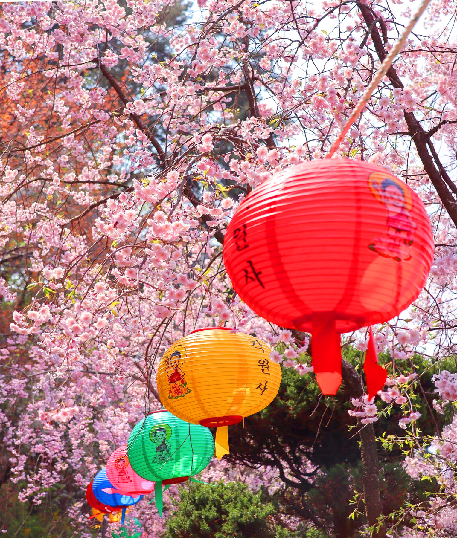 🌸🌿 熬過嚴冬,感受春日繁花盛開下大自然的勃勃生機。 🌸🌿 熬過嚴冬,感受春日繁花盛開下大自然的勃勃生機。