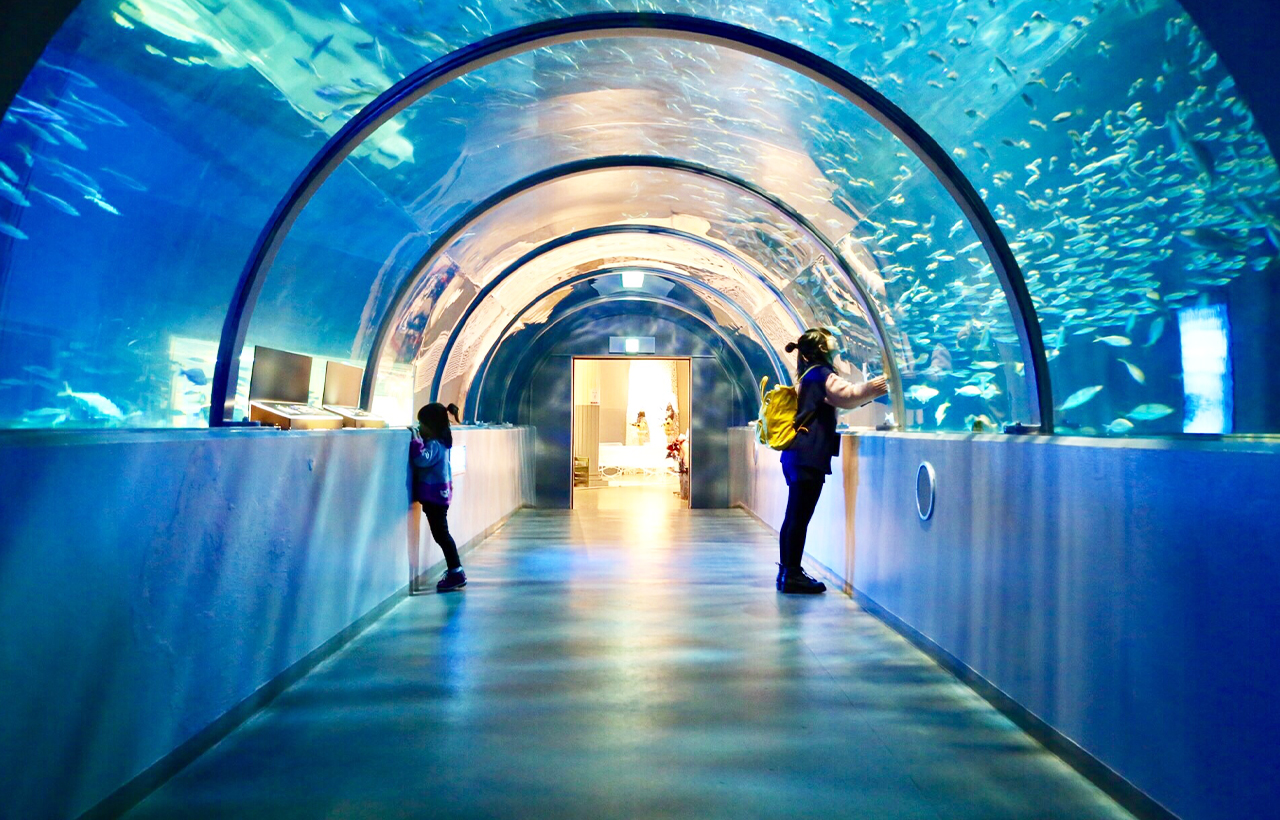 支笏湖·登別尼克斯海洋公園·洞爺湖千與千尋湖底鐵道·展望臺·天狗山·小樽·巖藻山夜景二日遊｜札幌出發