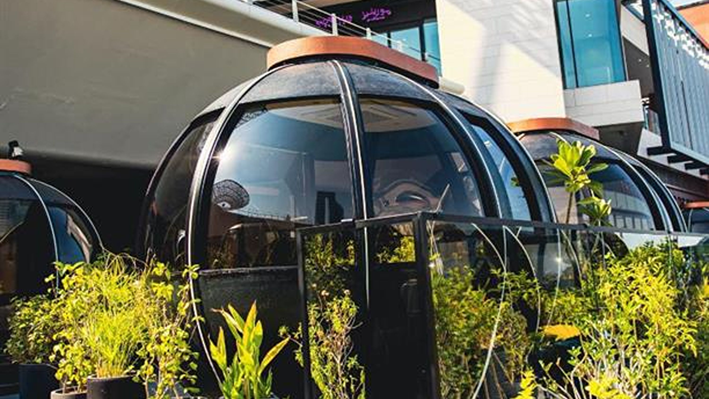 The Pods Dubai Dining Experience