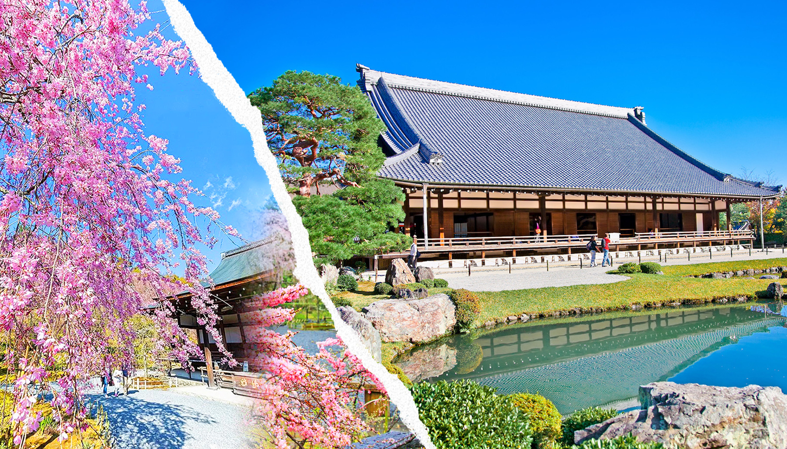 Ancient Capital Cultural Tour: Nara Todaiji Temple, Kyoto Fushimi Inari Taisha Shrine, Thousand Torii Gates, Kyoto Tenryuji Temple, World Cultural Heritage (Depart from Osaka | Get off in Kyoto/Osaka)