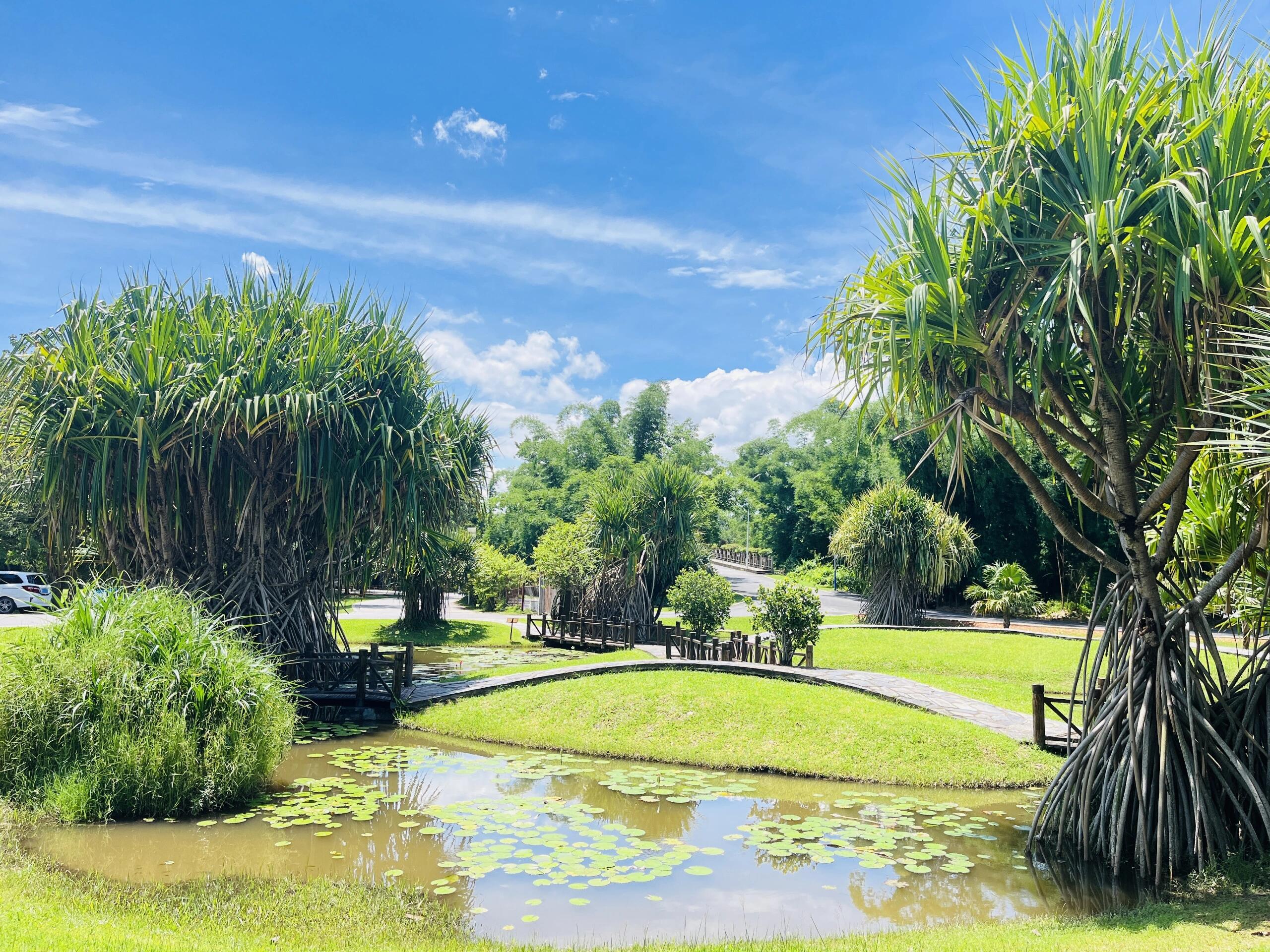 雲南中科院西雙版納熱帶植物園+傣族園一日遊（綠野仙蹤·雨林秘境+傣家煙火·潑水盛宴）