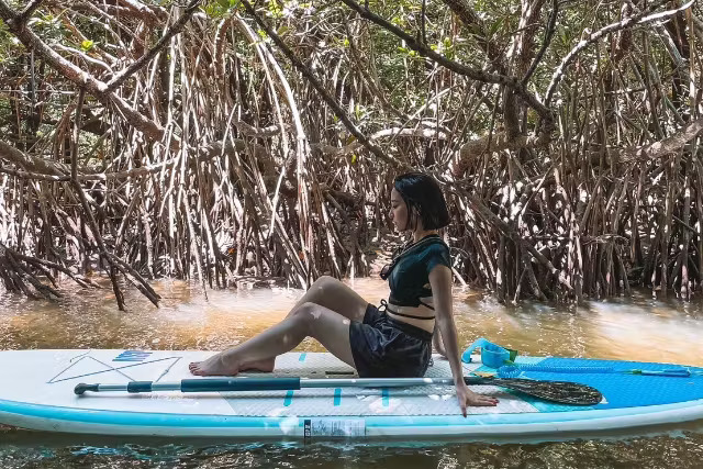 Miyara River kayaking experience (Ishigaki Island)