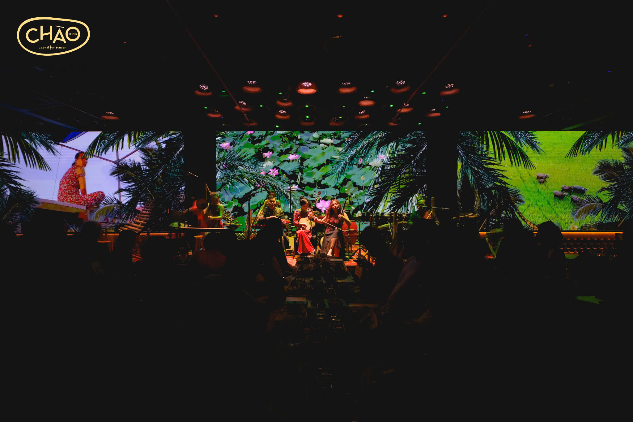 胡志明市 AO Show 雜技表演門票