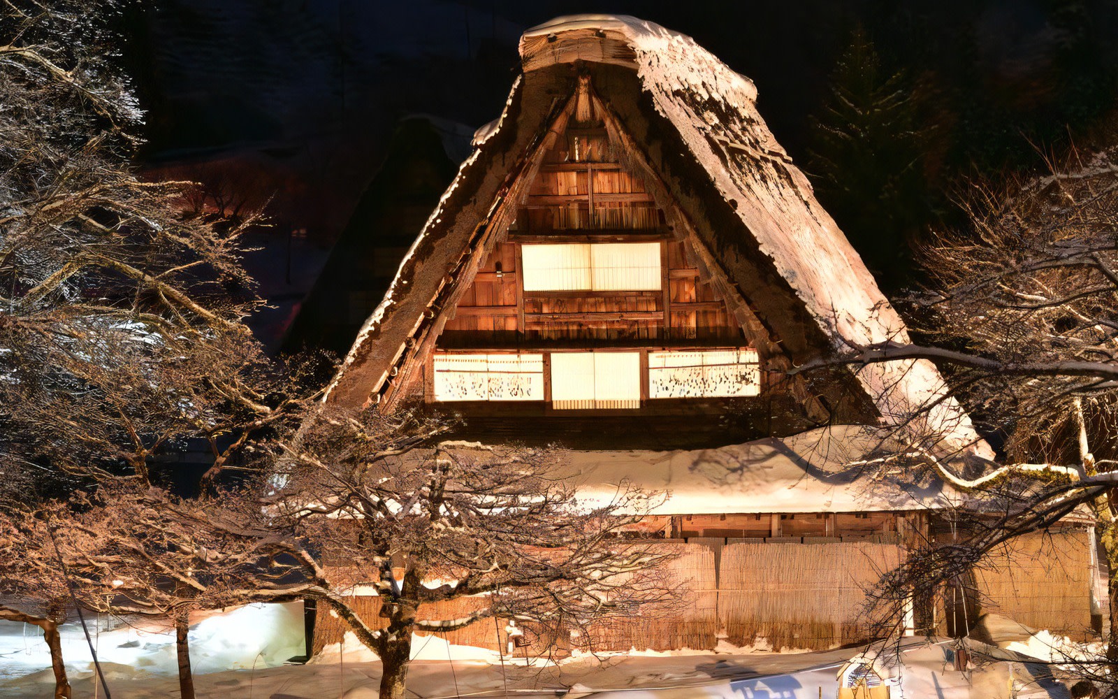 Nagoya Shirakawa-go Hida Takayama Full-Day Tour with Night Illumination