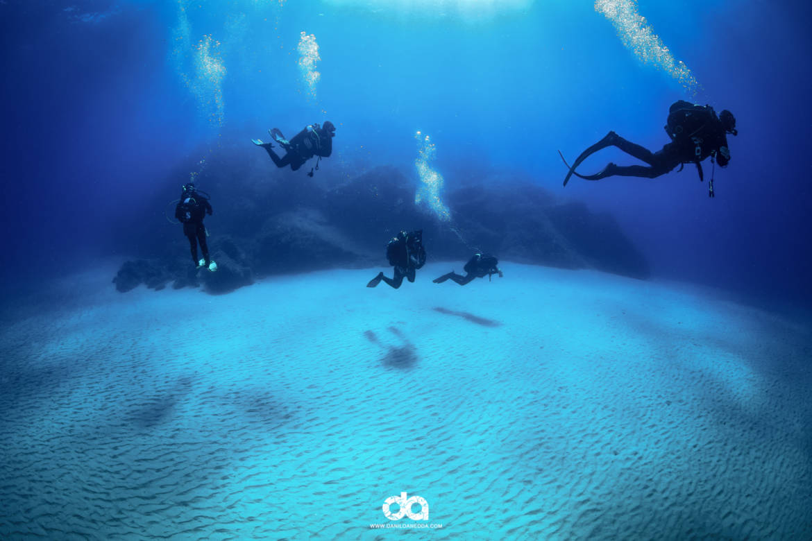 Dive into the crystal-clear waters of Cala Gonone with our expert guides, discovering the rich biodiversity of this underwater paradise
