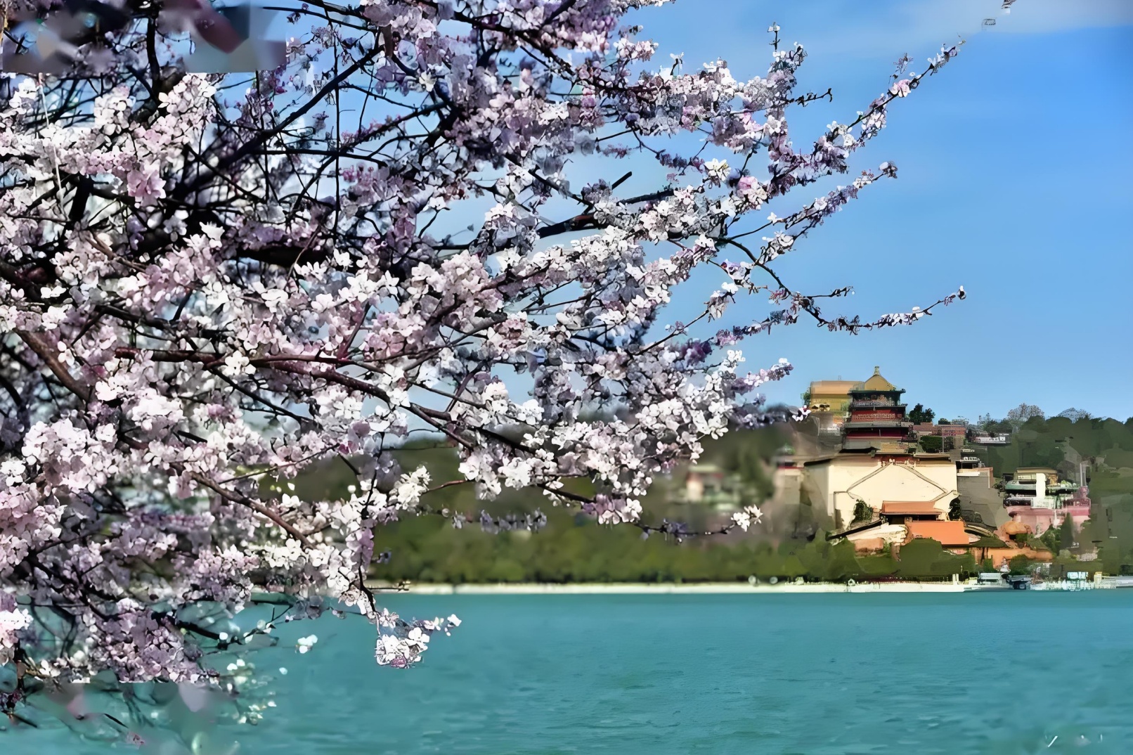 Visit Beijing, watch Peking Opera, eat roast duck, see giant pandas, and taste special food attractions
