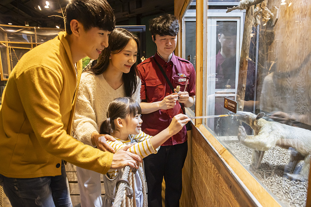 慶州Zoolung Zoolung室內動物主題公園門票