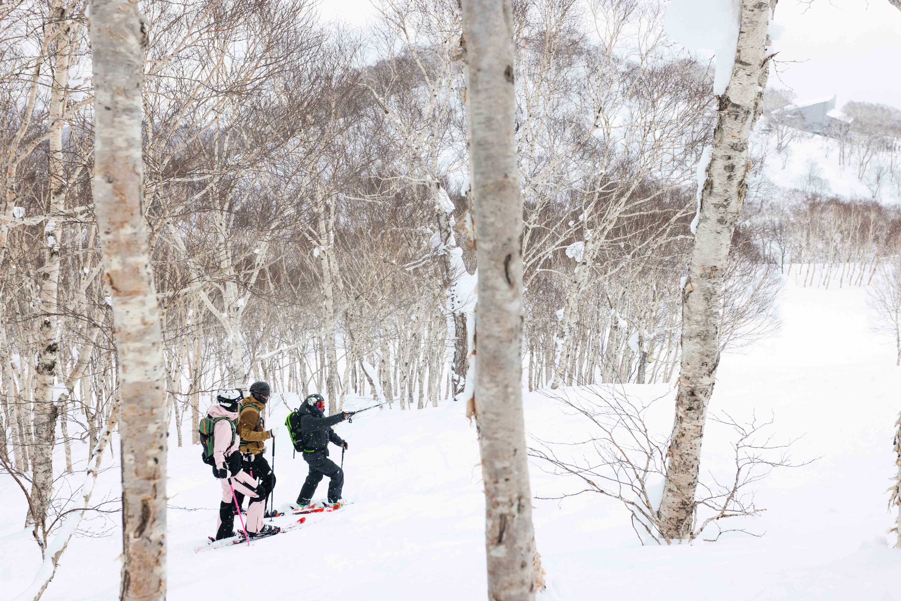 NBS Niseko 滑雪 / 單板滑雪裝備租借（1 - 7天套裝）