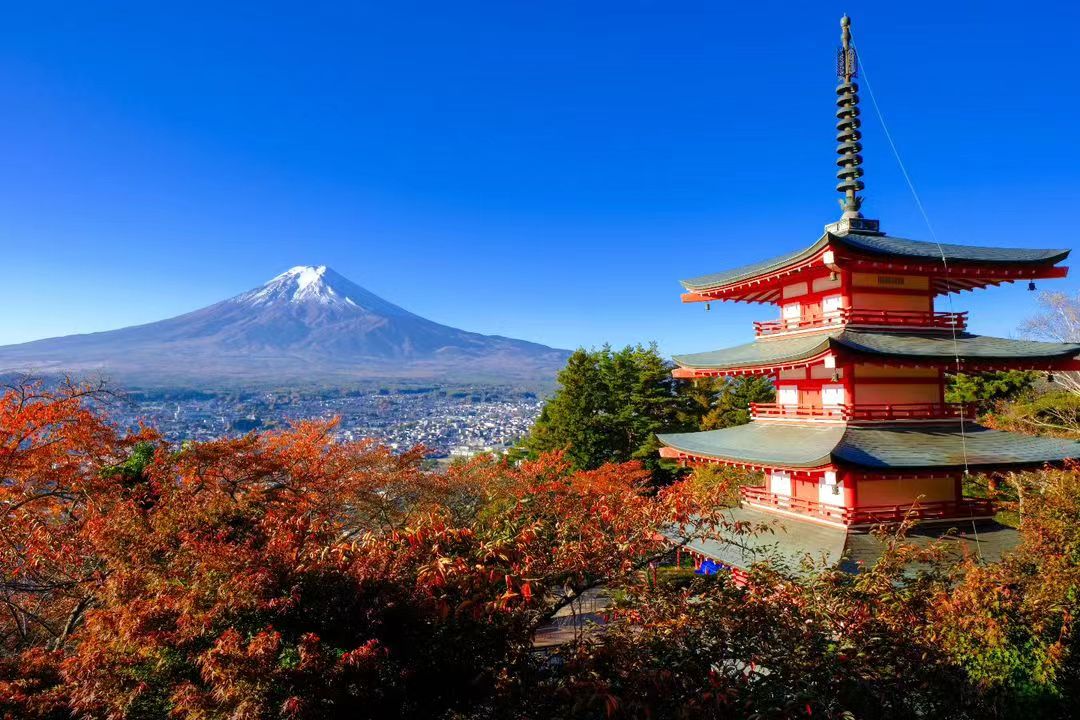 【富士山最新打卡热点一天游】新仓山浅间公园&日川时计店&麦当劳吉田店&梦之大桥&沼津鱼市场一日游 （少人精致小团可酒店接送）