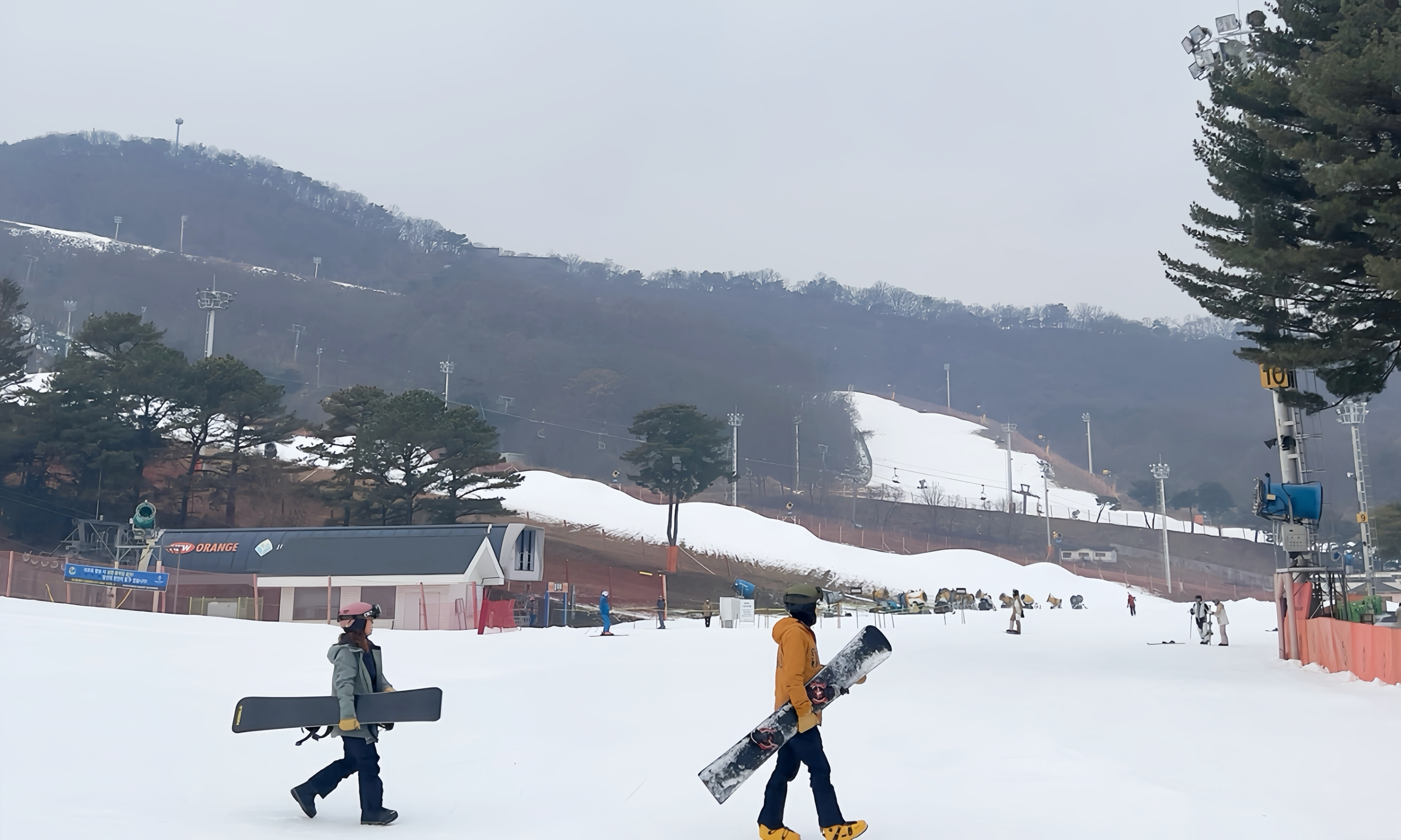 芝山森林度假村 (Jisan Forest Resort) 滑雪橇一日遊（首爾 (Seoul) 出發）