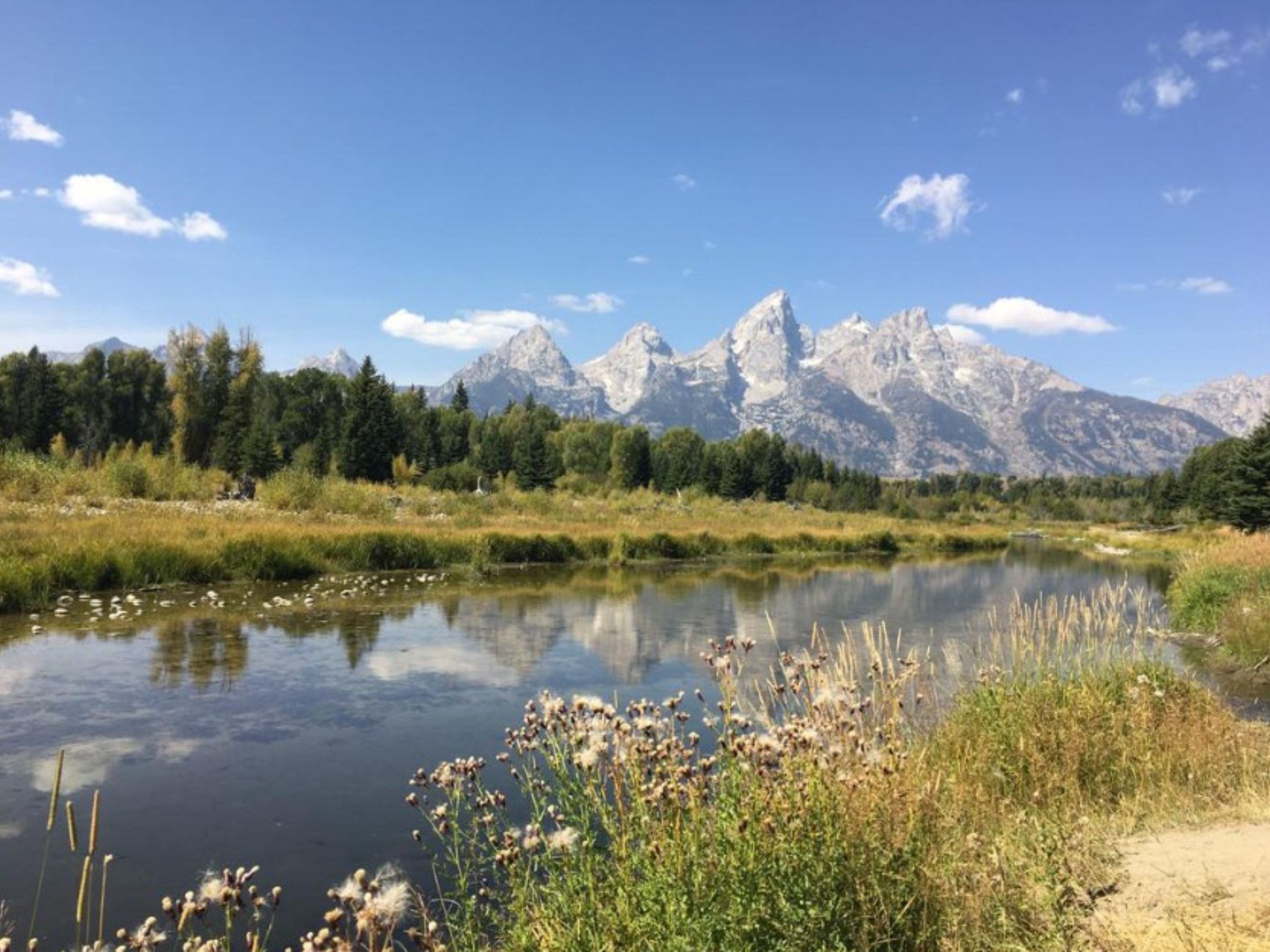 Salt Lake City Grand Teton & Yellowstone Multi-Day Guided Tour