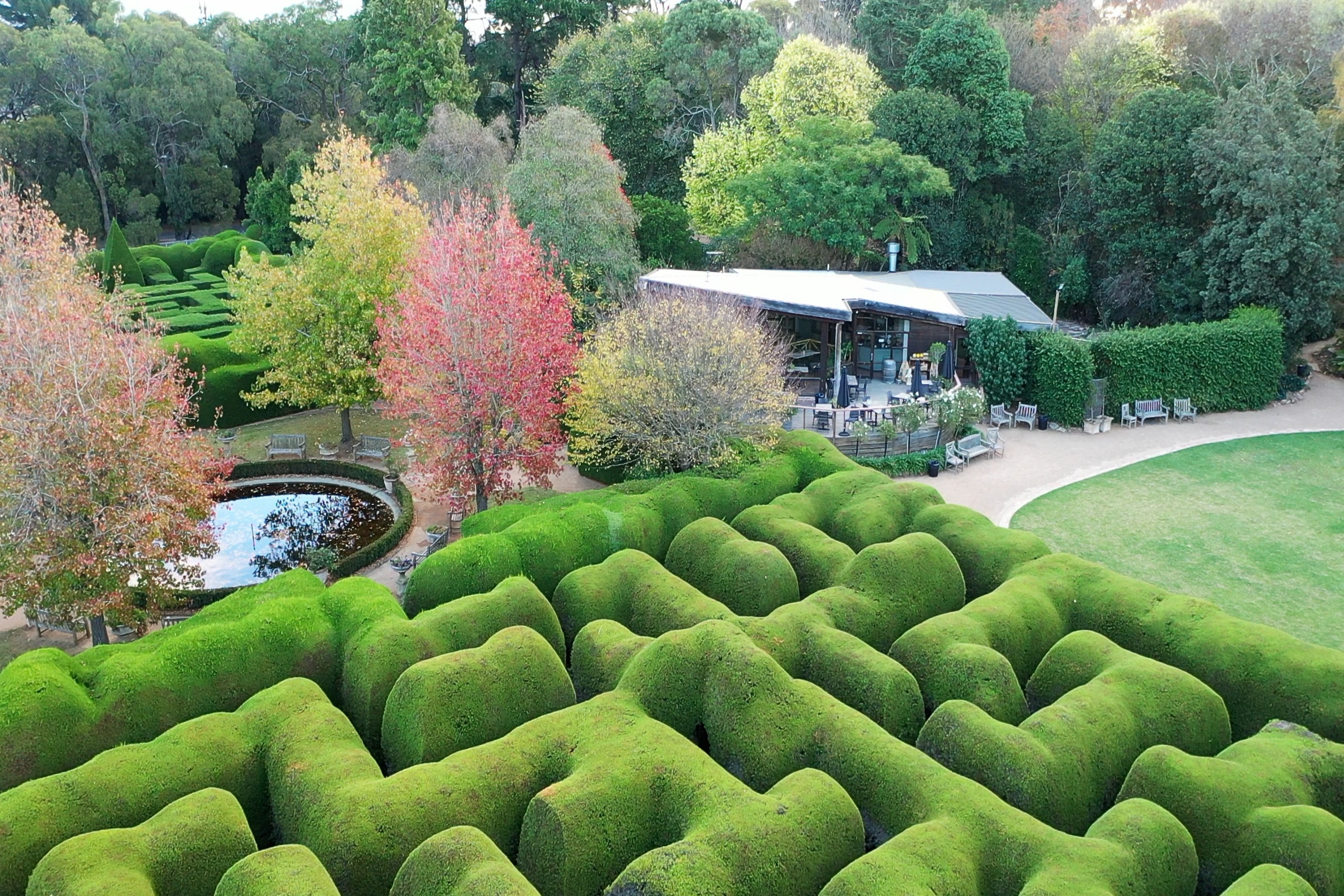 Ashcombe Maze and Lavender Gardens ticket