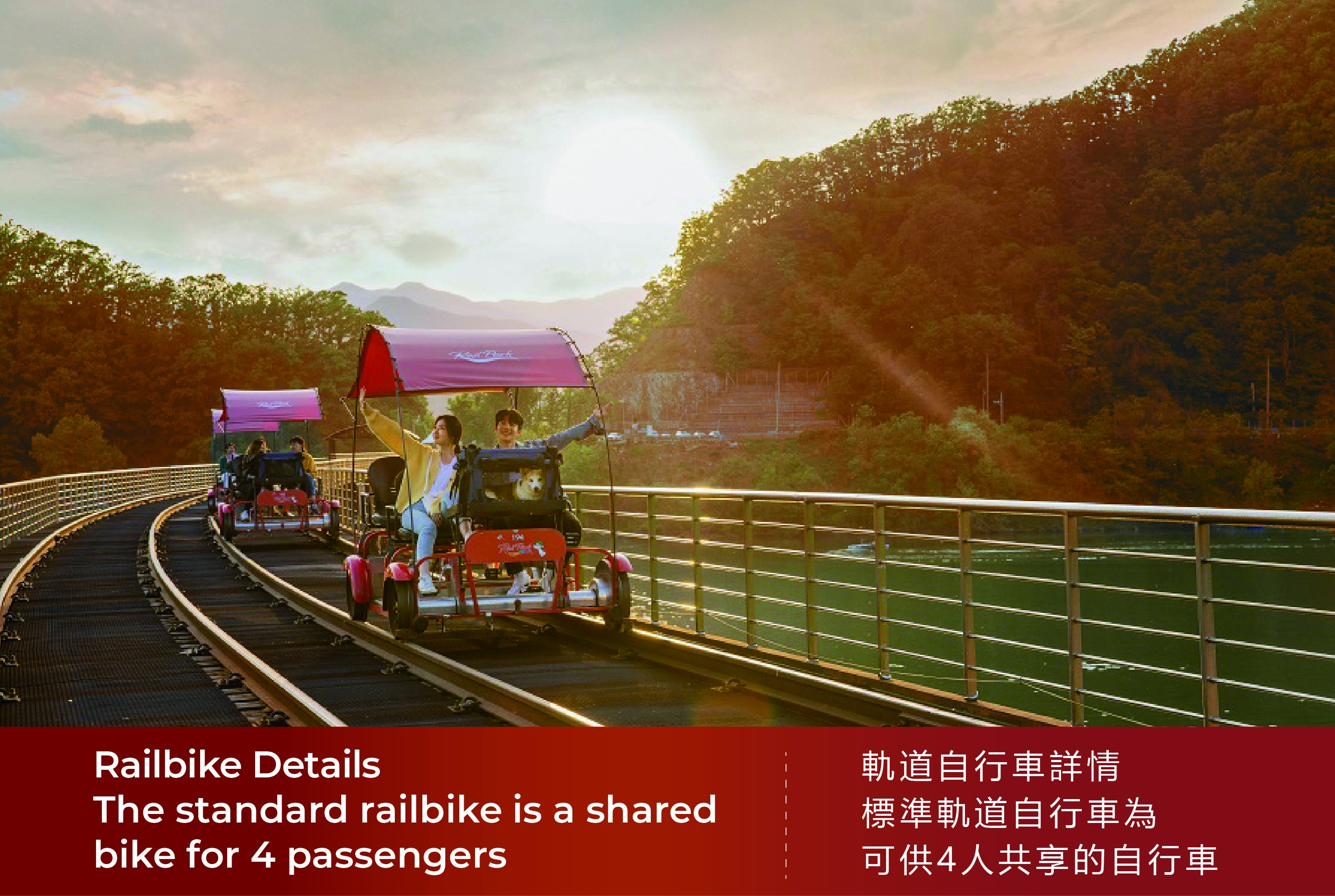 南怡島 (Nami Island) & 伊甸園冰雪世界 (Eobi Ice Valley) & 全景場 (Panorama Field) &  晨靜樹木園 (Morning Calm) 旅遊