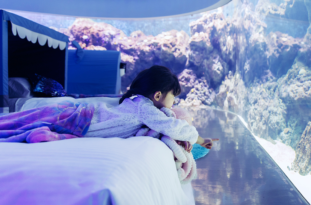 Xpark夜宿：Blu Night宿海奇遇
