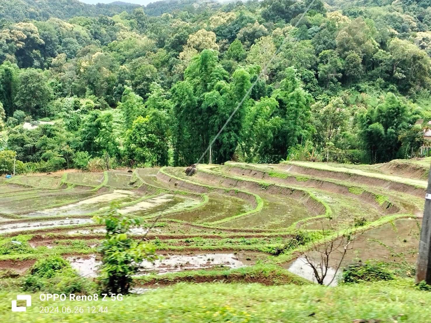 One Day Trekking Pha Dok Siew Nature Trail & Mae Ya Waterfall
