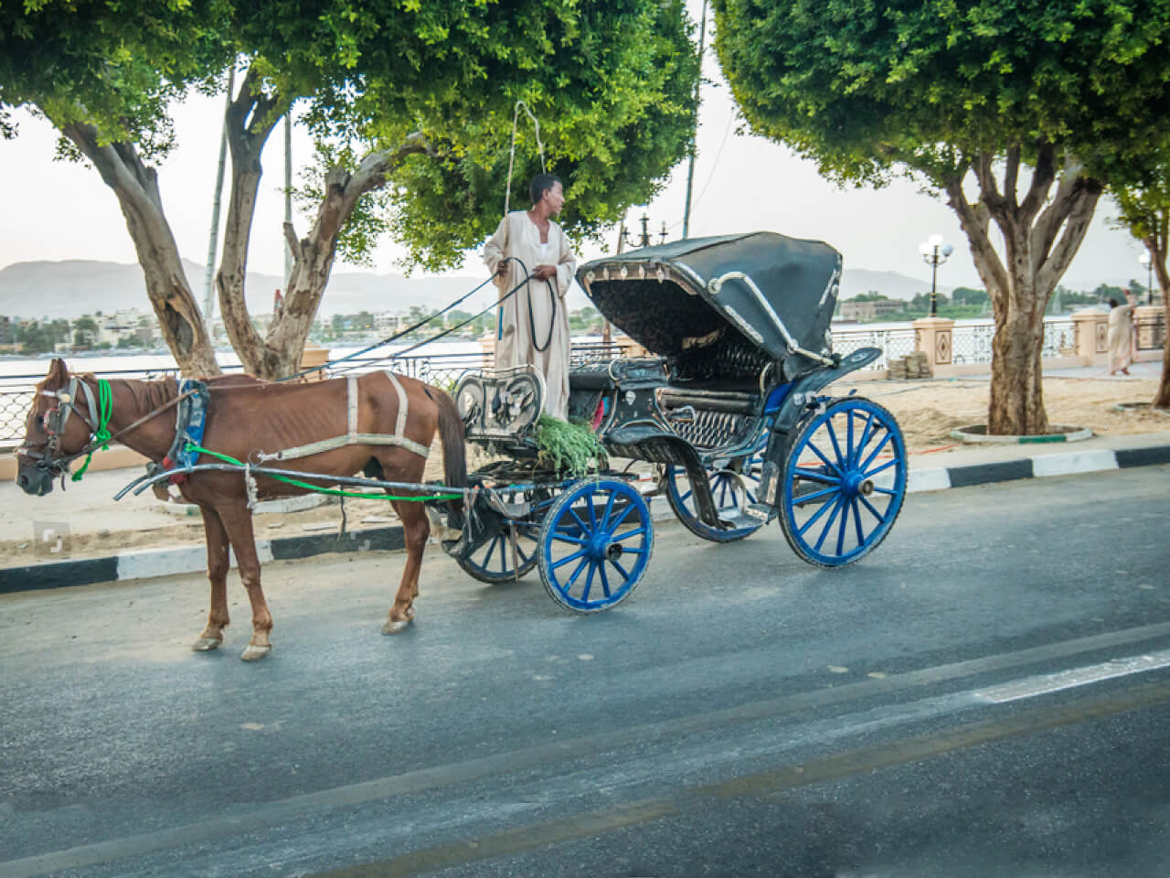 乘坐馬車欣賞阿斯旺的迷人景色