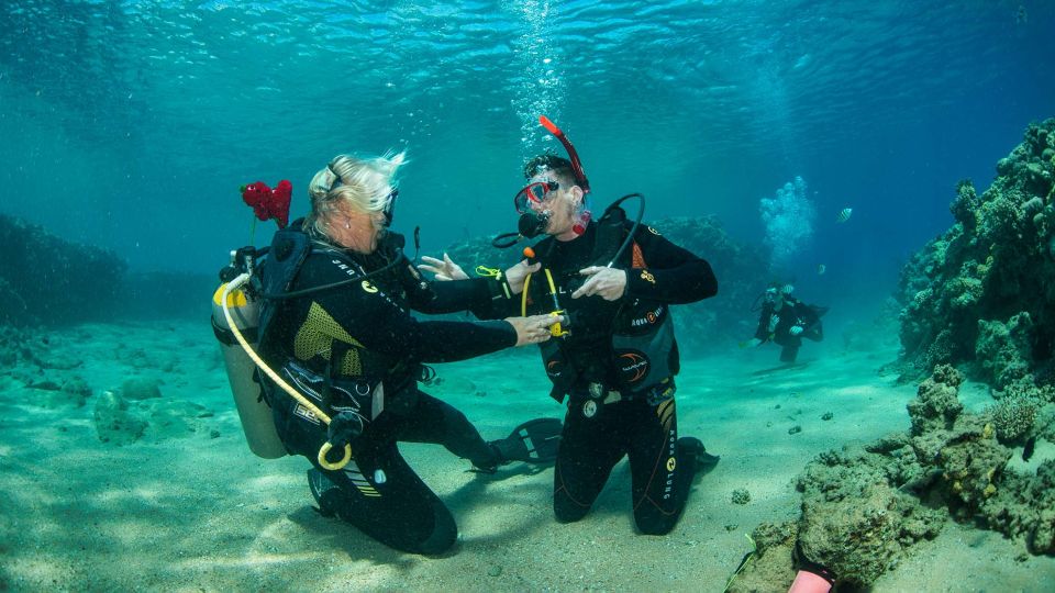 Sahl Hasheesh：潛水或浮潛游船之旅（含午餐）