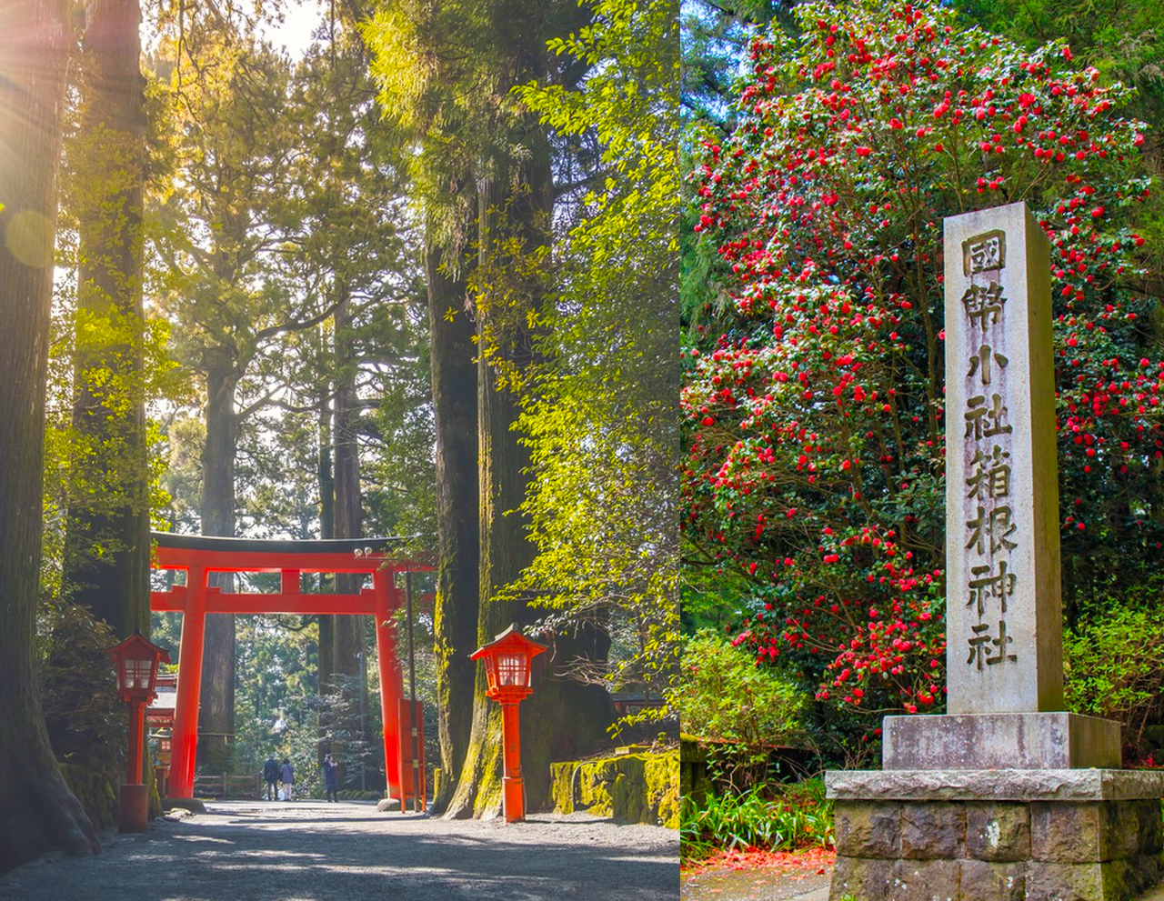 【箱根+鎌倉】富士山蘆之湖遊船+大涌谷+鎌倉高校前+江之島|東京出發