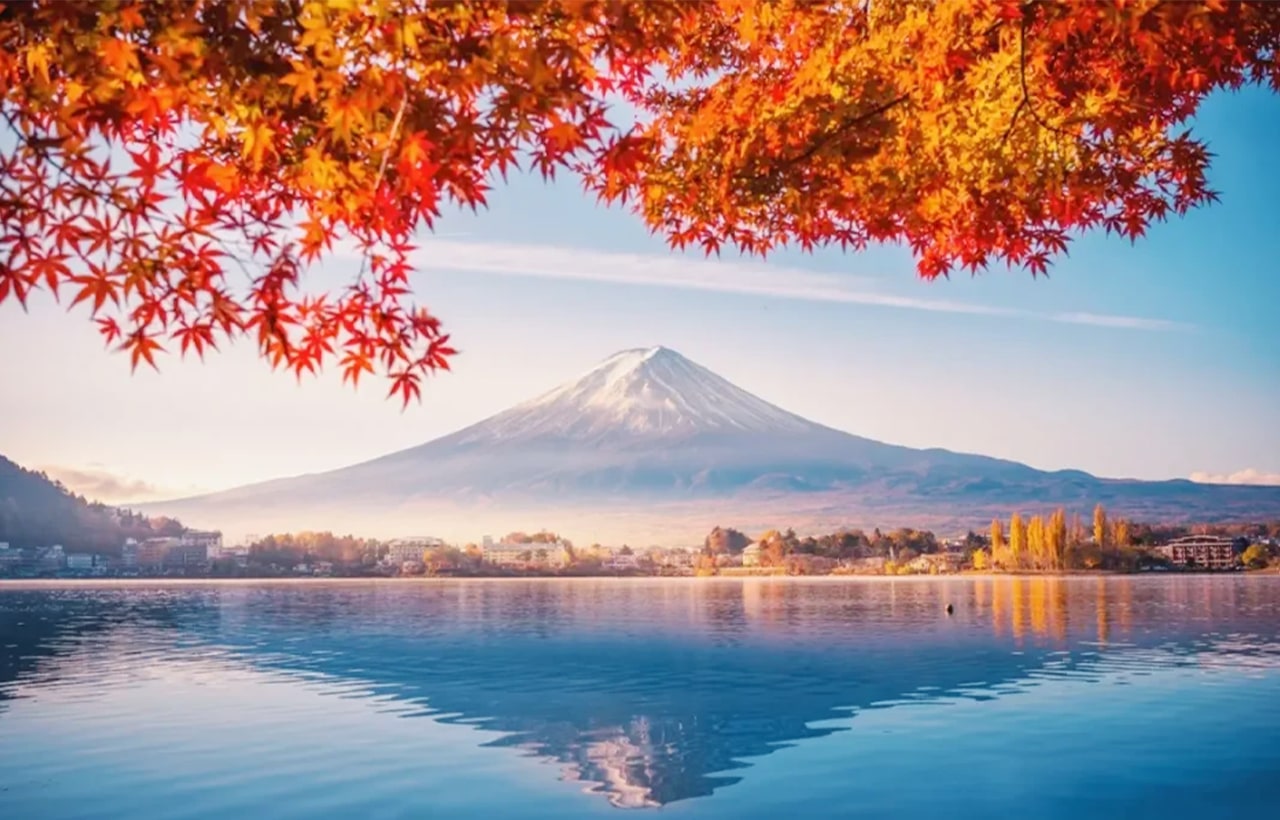 依傍河口湖的四季花園🌷，夏季薰衣草鋪成紫色絨毯💜，秋季掃帚草染上赤紅色彩🍂。這裡是河口湖香草節主會場，能同時欣賞花卉與富士山相映的絕景🏞️。