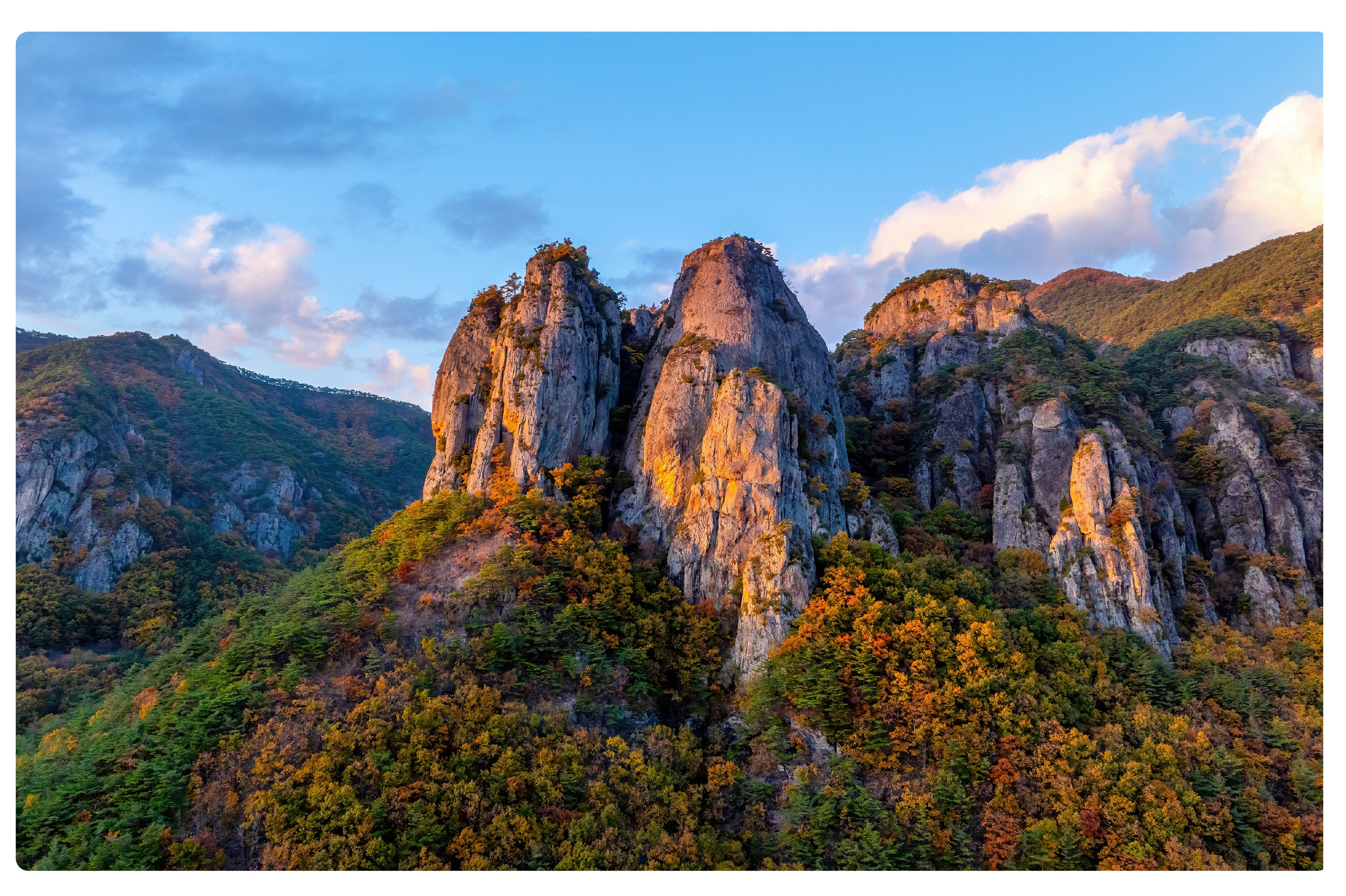 探索周王山國家公園，在迷人的秋季景色中享用午餐和自由時光，享受難忘的自然季節美景之旅。