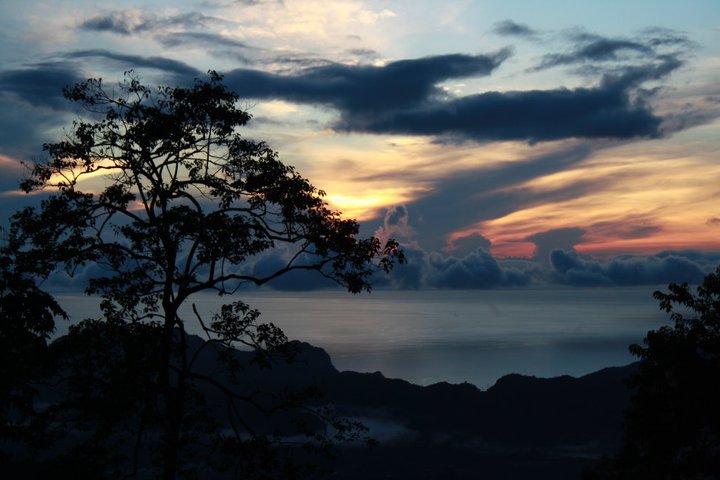 浮羅交怡夜間熱帶雨林遊覽