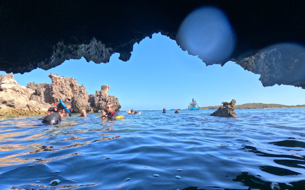 3-Island Shoalwater Marine Wildlife Snorkeling Experience