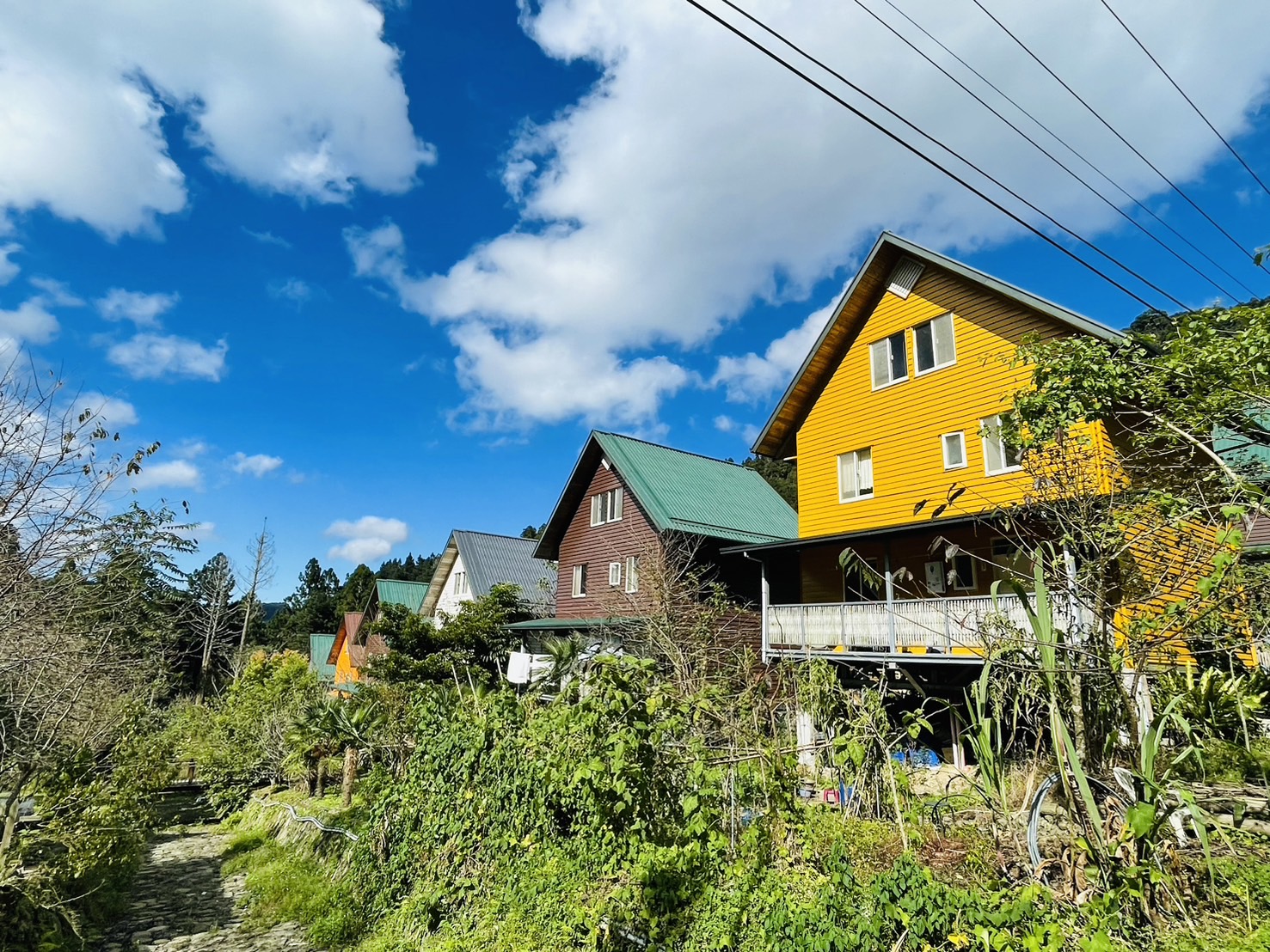 Deenyana/Ajiang’s Home/Eryanping Trail/Alibaba Fenchihu Old Street One-day Tour (Taichung City Pickup)