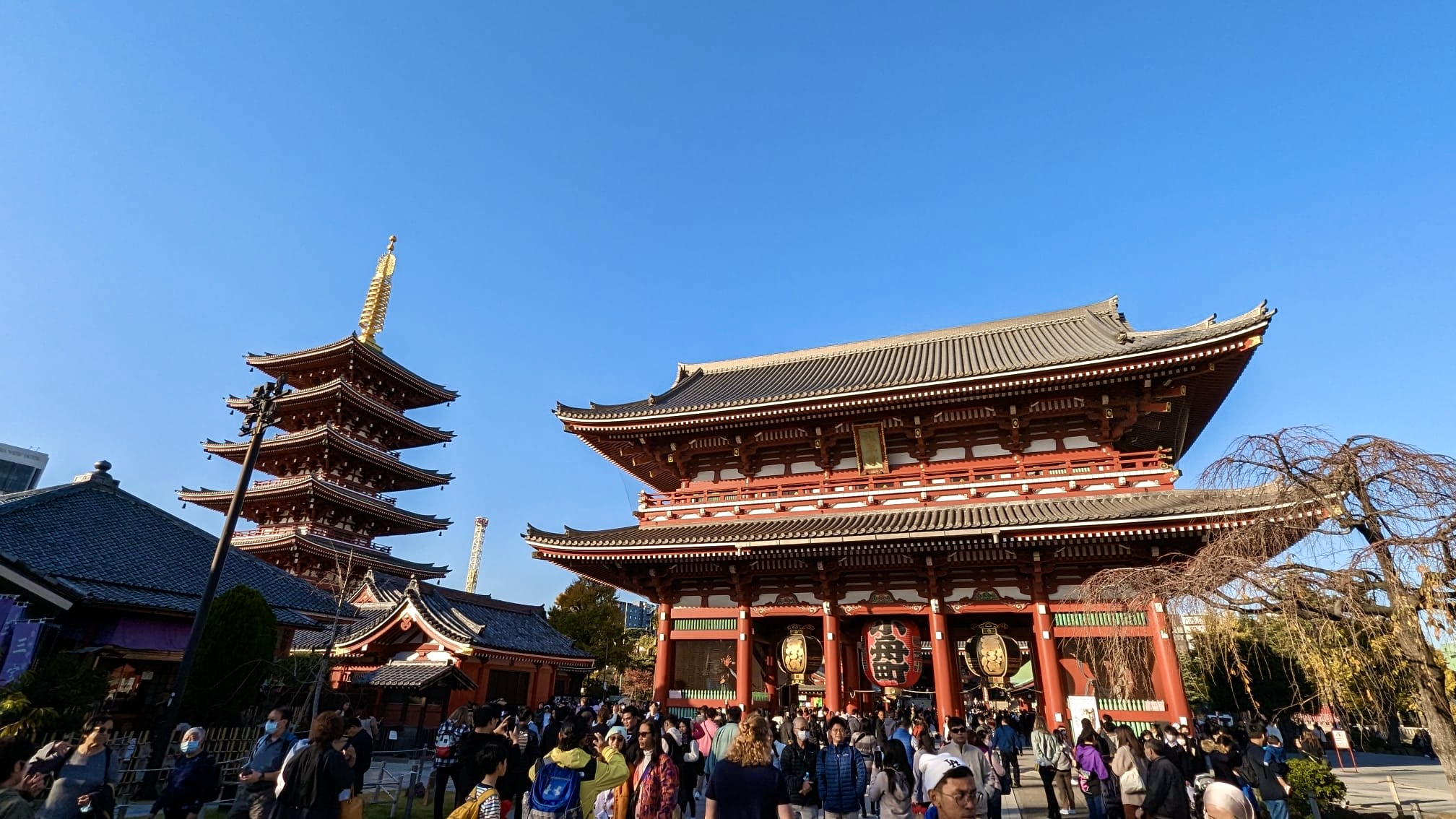 Sensoji Temple & Kabukicho One-day Private Tour