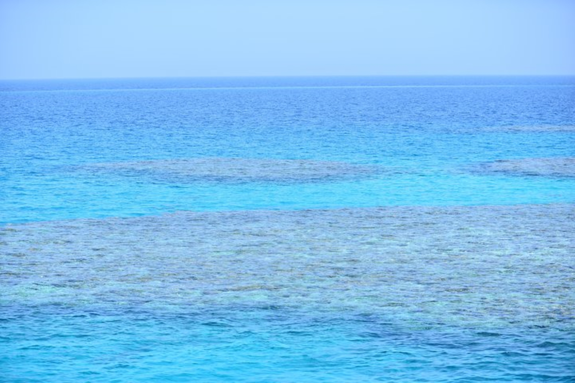 Coral Garden Snorkeling Trip & intro dive With Transfer - Marsa Alam