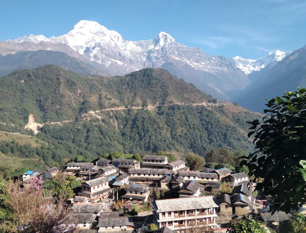 波特尼山丘健行（Ghorepani Poon Hill Ghandruk Trek）挑夫