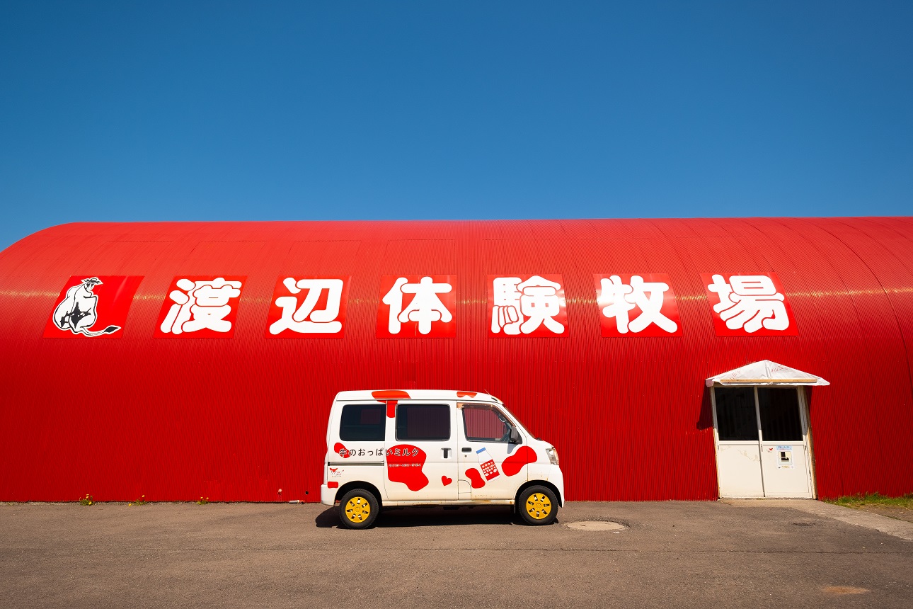 北海道渡邊農場體驗：與奶牛親密接觸、擠牛奶、乘坐拖拉機 & 製作黃油