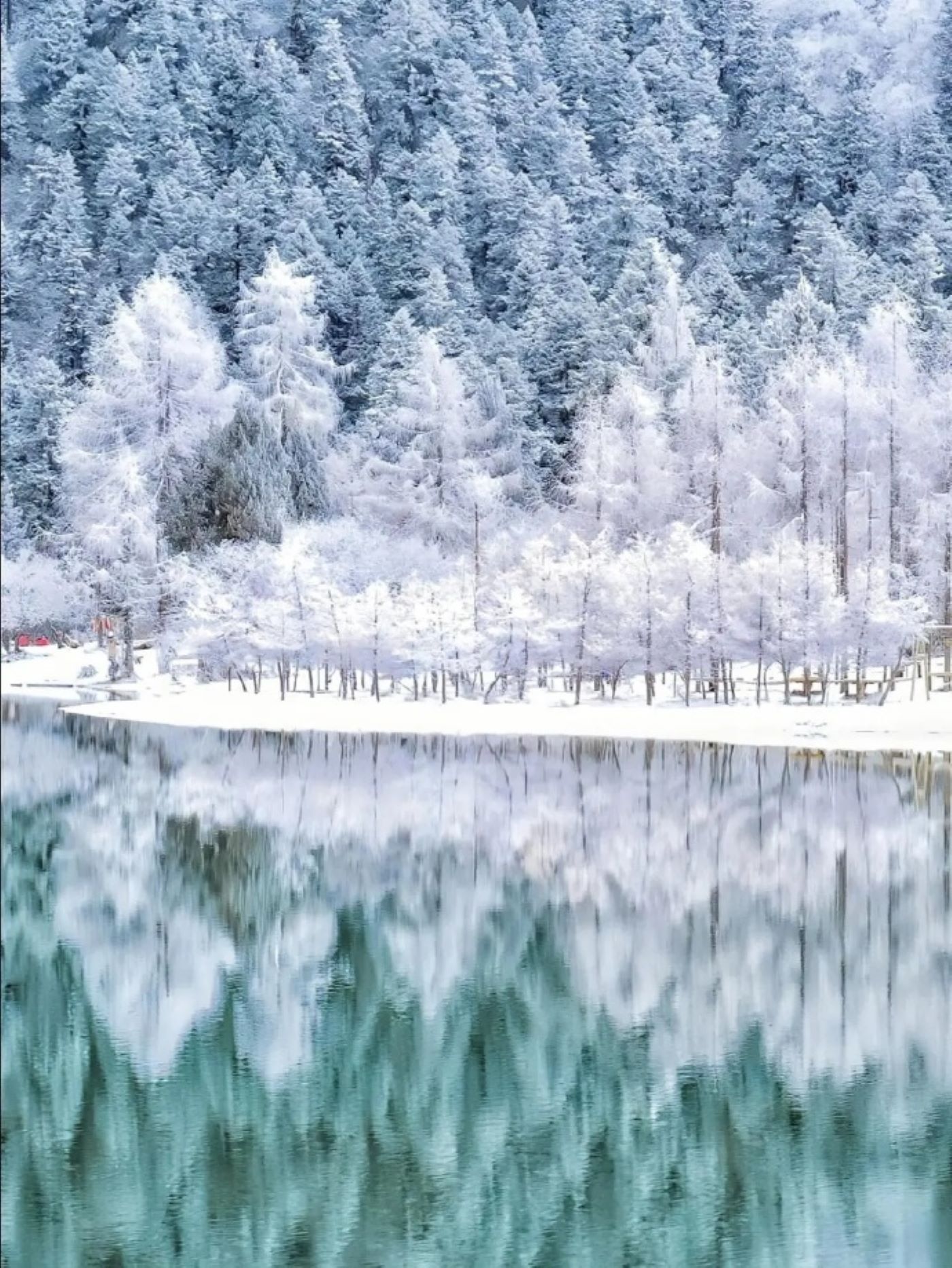 四川畢棚溝&達古冰川2 日純玩（冰雪瀑布+現代冰川+雪景湖泊+特色美食西羌農家宴、石板燒+贈送精修旅拍照+成都往返）