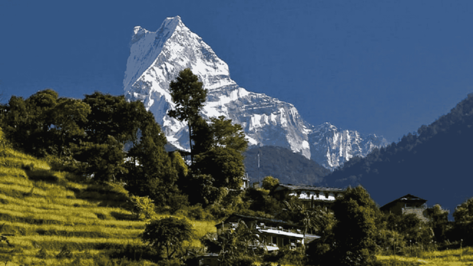 喜馬拉雅山冒險：4天馬爾迪喜馬拉雅山健行（波卡拉出發）