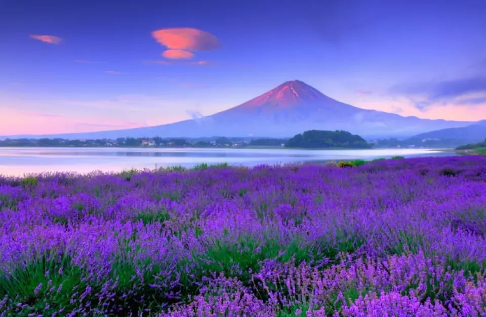 富士山×箱根打卡聖地 多方案一日遊