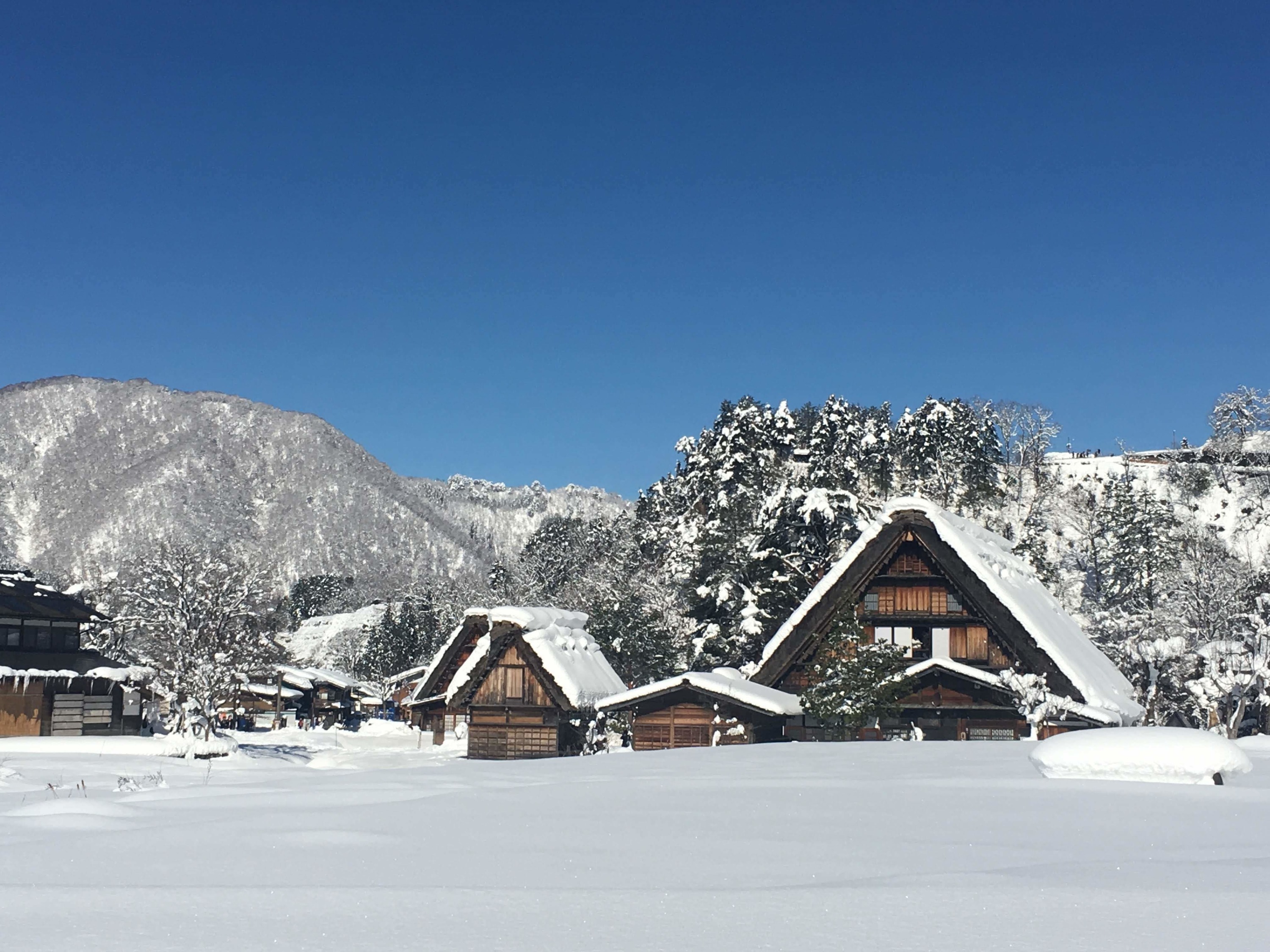 World Heritage Shirakawago Lightup Day Tour from Kanazawa Departure