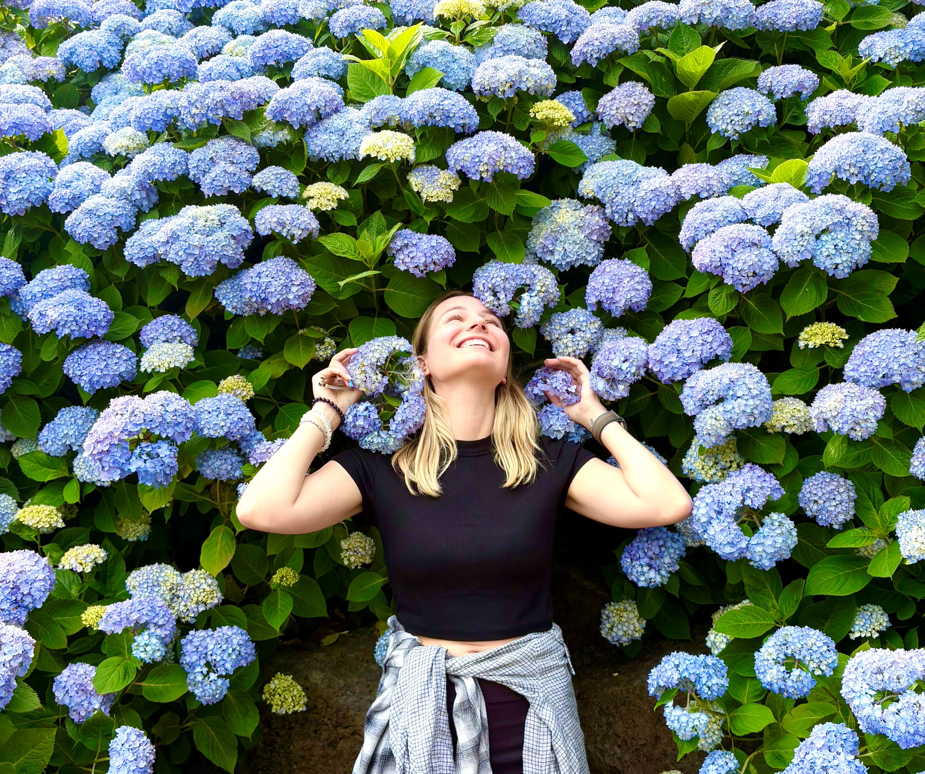 Jeju Hydrangea Small Group Tour incl. Admissions, Hotel Pick-up