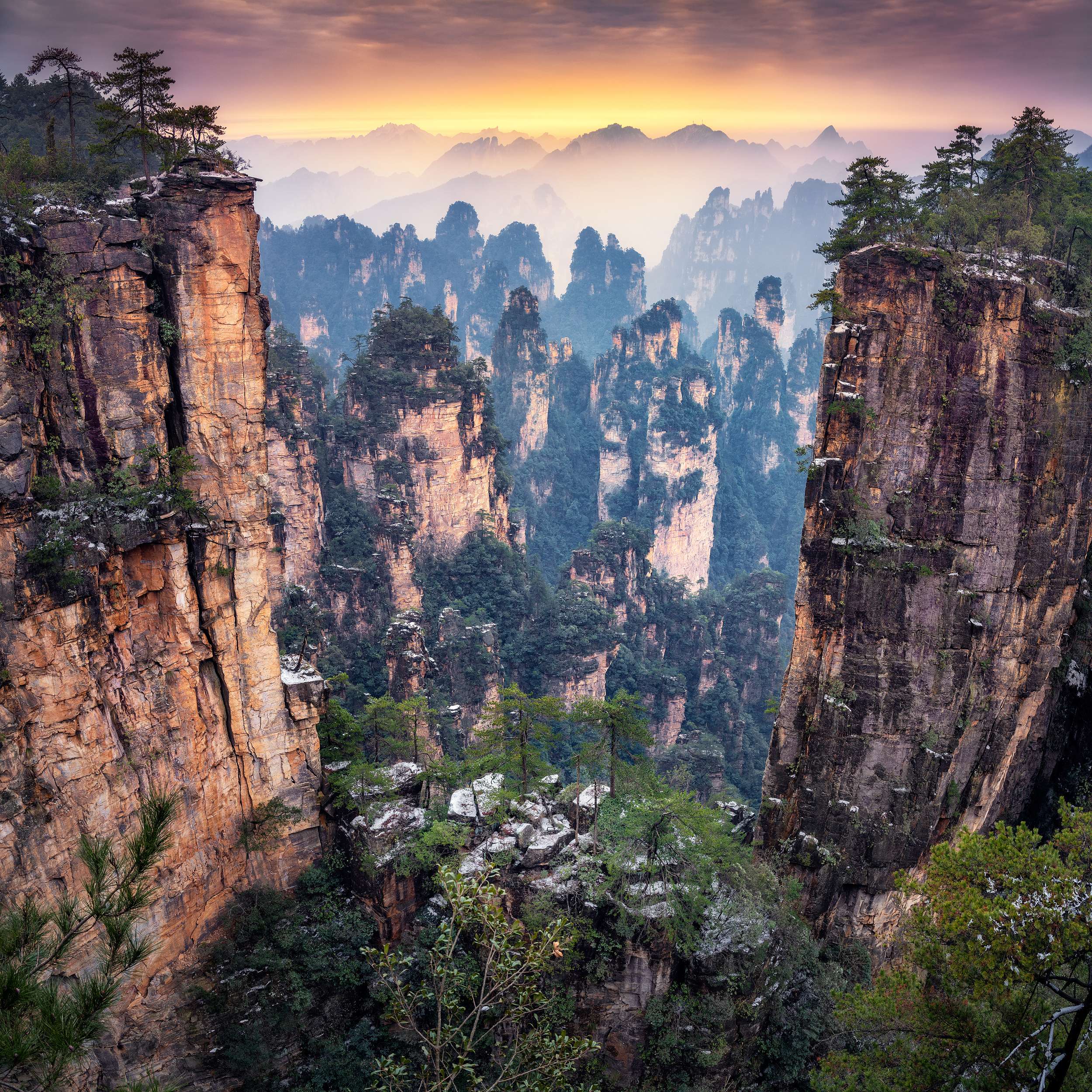 Zhangjiajie National Forest Park One-Day Tour (Hotel Pickup + Small Group of 8 + VIP Access)