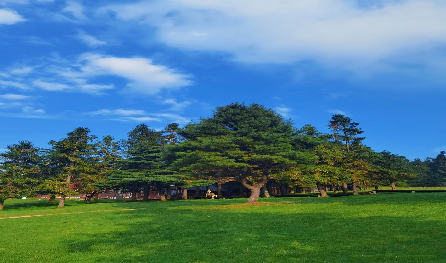 仙女山國家森林公園