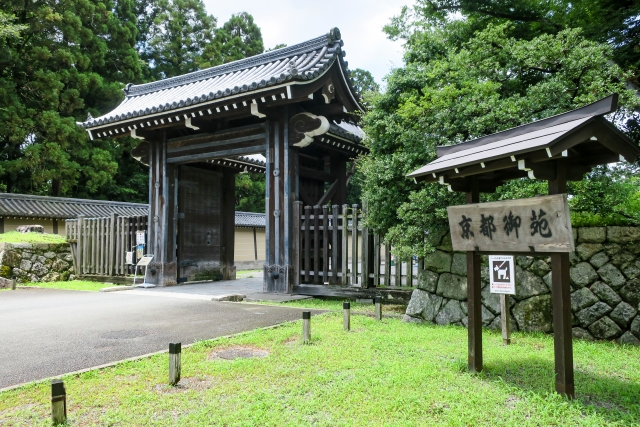 京都祗園祭 & 琵琶湖午餐遊船之旅