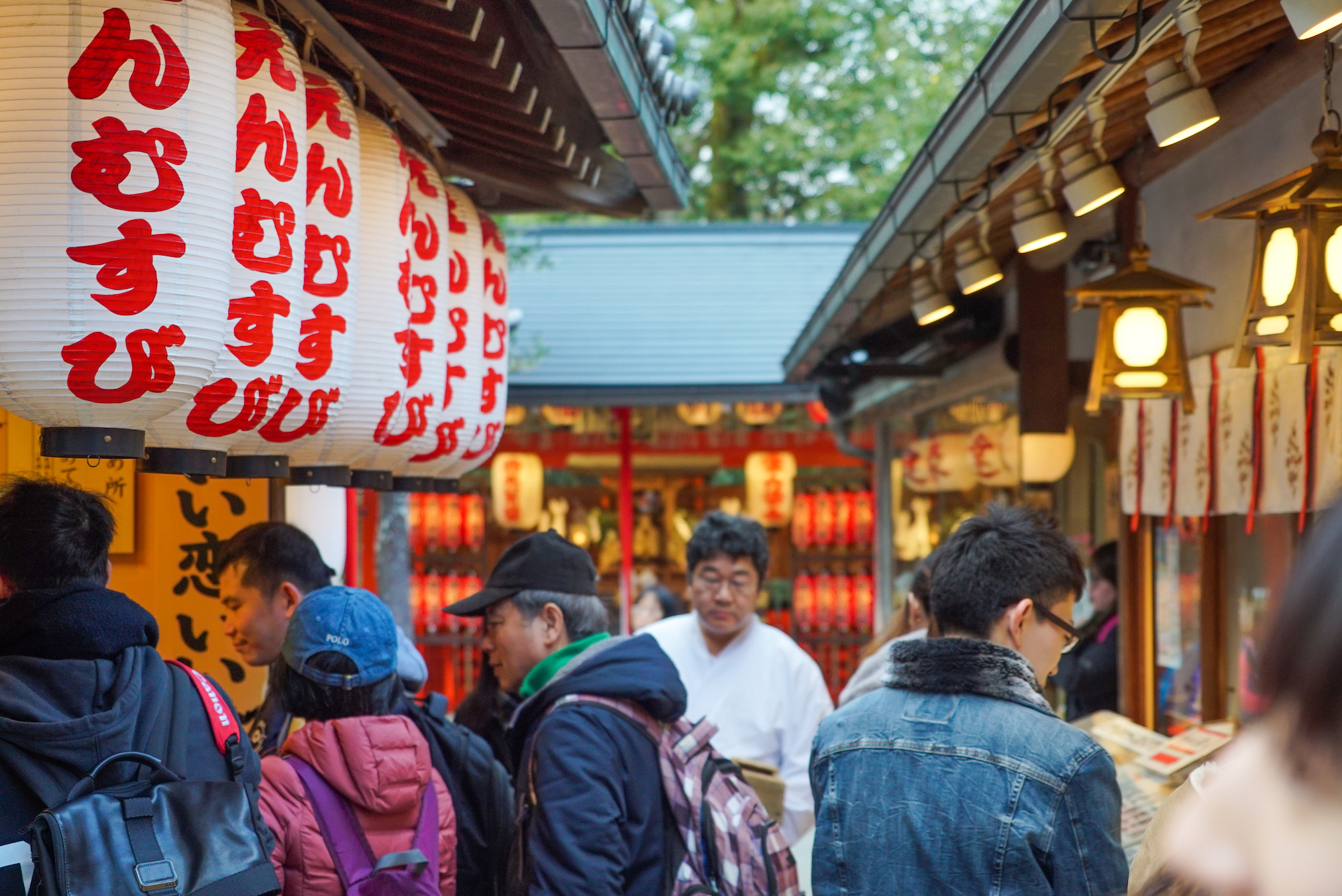 京都茶道 & 清水寺徒步之旅